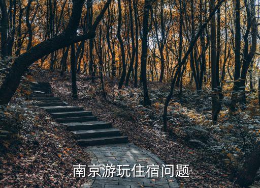 南京国际会议酒店 桑拿,南京青年国际会议酒店地铁怎么走