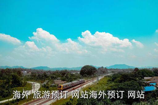国外最大的旅游网站,国外旅游网站发展情况