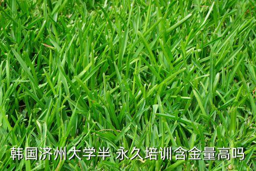 韩式半永久国际证书