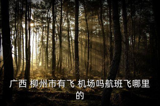 柳州即将新建国际机场,柳州有没有国际机场