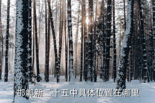 邯郸国际会展中心奥克斯,邯郸鑫港国际会展中心