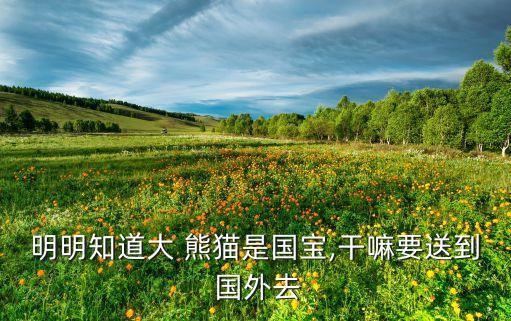 成都熊猫送国外,为什么熊猫送国外要还回去
