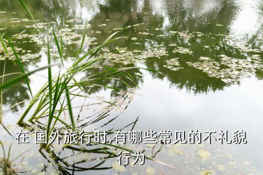 国人 国外不文明行为,如何看待中国游客在国外的不文明行为