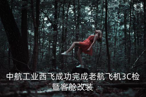 国外航空公司航线维修,怎么查航空公司的全部航线