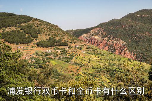 国外用全币种和双币种