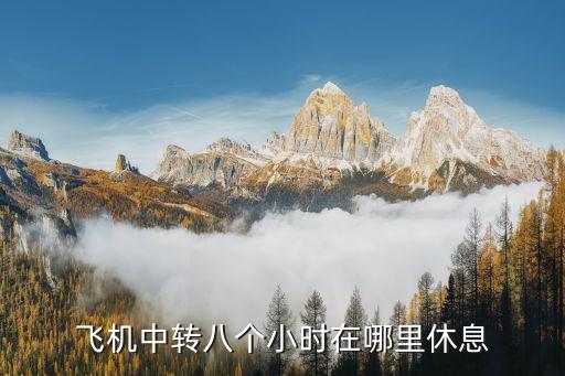 国际航班中转过夜费