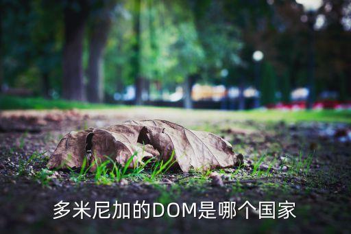 sdq国外机场