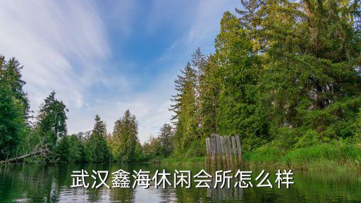 武汉会所国外妹子