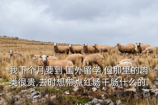 去国外带什么吃的好,给国外的孩子寄什么吃的