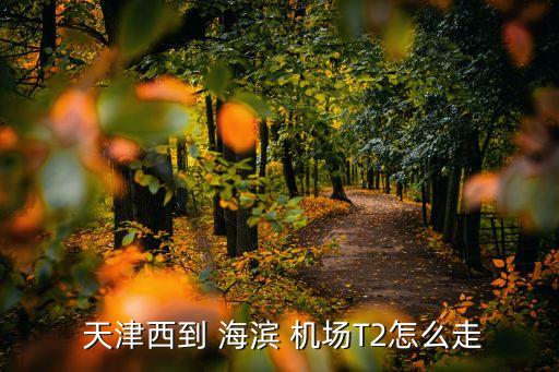 天津地铁到海滨国际机场,天津西站到滨海国际机场地铁怎么坐