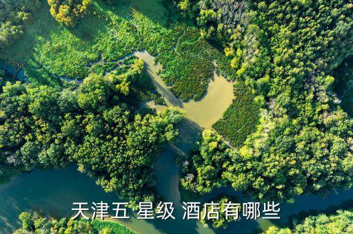 明门国际酒店几星级,洛阳明阳国际酒店