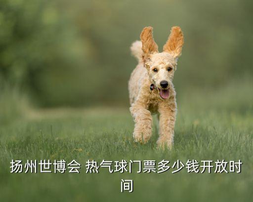 清迈国际热气球节 价格