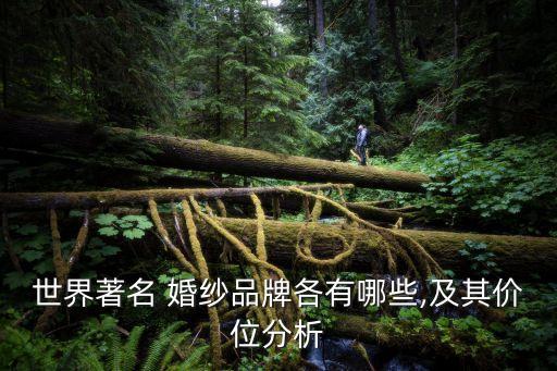 婚纱牌子排名国外,国外羽绒服最好的牌子排名