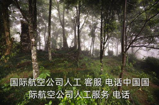 在国外怎么打国航客服电话,国外如何拨打国航客服电话