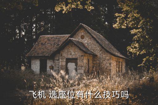 中国国际航空如何选座