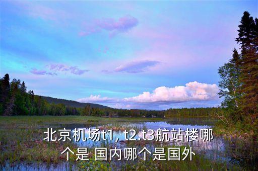 首都t2 国际国内,北京首都t2国际出发