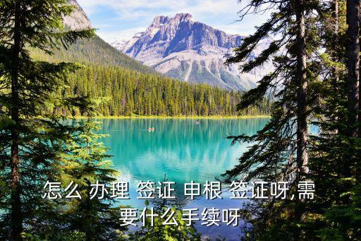 我在国外办理申根签证,办理申根签证需要准备什么材料