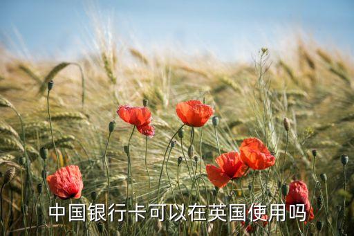 国内的银联卡适合在国外用嘛,国内银联卡国外消费上限
