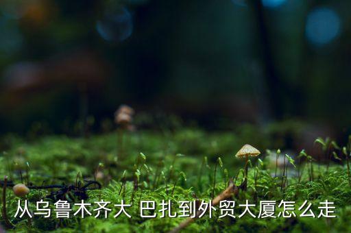 昌吉国际大巴扎图片,昌吉到乌鲁木齐大巴扎怎么走