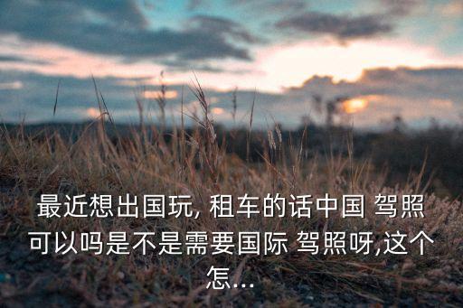 去国外租车驾照,国外租车驾照翻译件电子文件