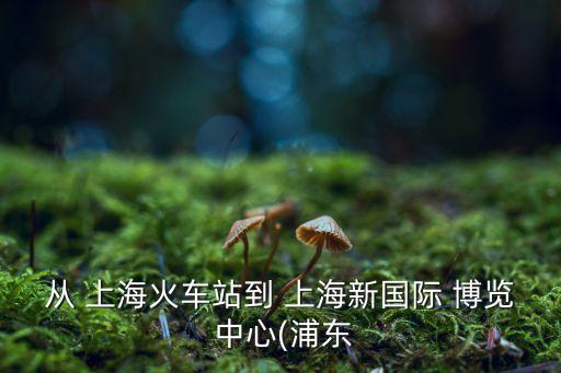 上海站到上海国际博览中心多远,从上海站到上海新国际博览中心
