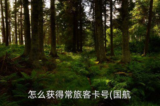 国际航空会员卡