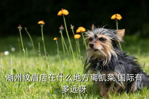 凯莱国际寓所