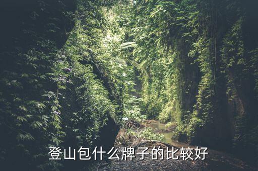 国外游客迪卡侬背包,迪卡侬forclaz背包