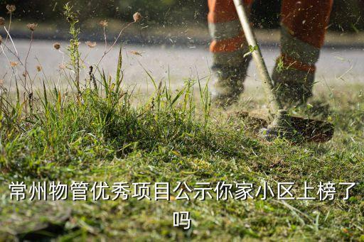 半岛国际 物业管理有限公司,深圳市半岛城邦物业管理有限公司