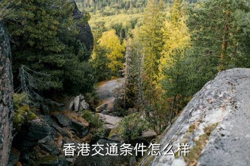 机场巴士香港国际