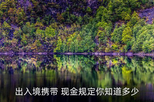 国外出境能带多少现金,新加坡出境能带多少现金