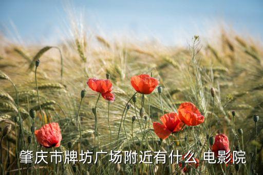 肇庆 金逸国际电影城,金逸空中电影城