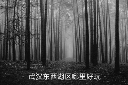 武汉东方国际赛马场