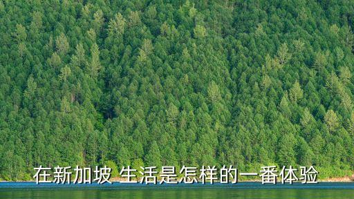 国外普通人生活实拍,普通人怎么去国外定居