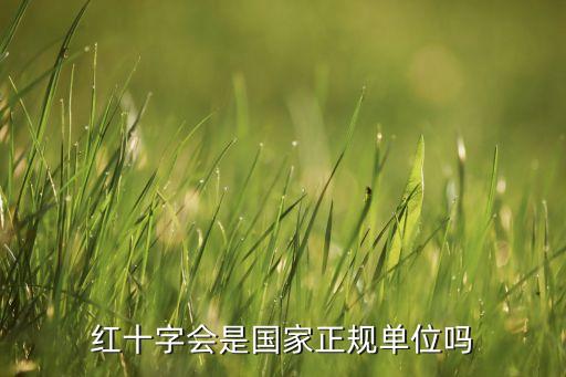 国际国际红十字会,国际红十字会于1912年正式确定