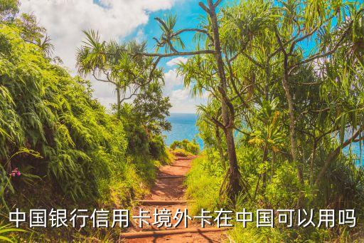 国外的银行卡能在国内用吗,从国外汇款到国内银行卡怎么收到