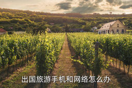 去国外买什么设备上网,国外用什么取暖设备