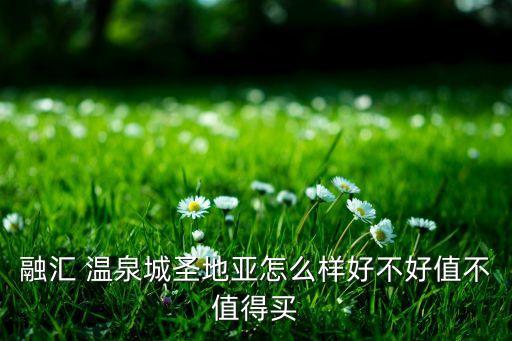 独山国际温泉城开发商