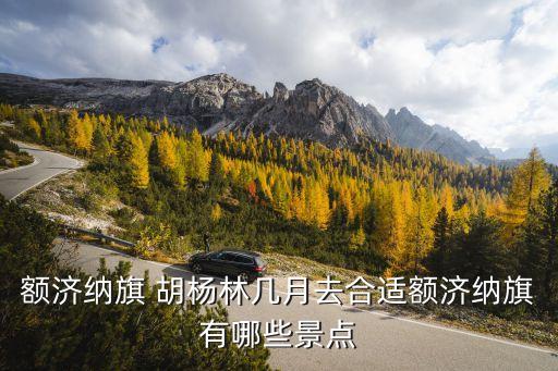 国际胡杨拍摄基地