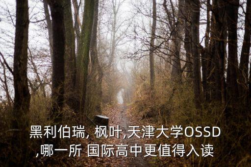 枫叶国际rap