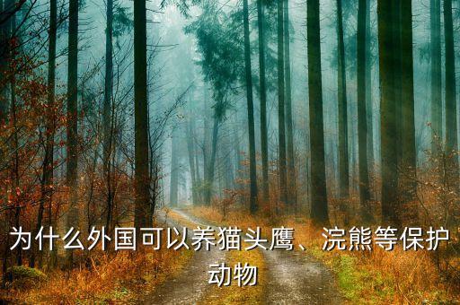 国外野生动物