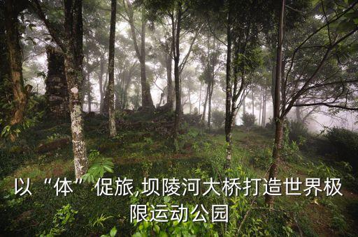 国际蹦极