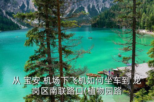 宝安国际机场到龙岗
