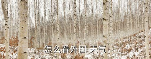 国外天气预报查询一30天,查看国外天气预报查询