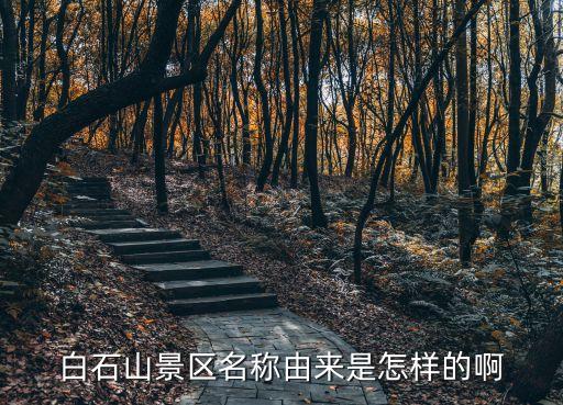 国外玻璃栈道命名,国外有玻璃栈道吗