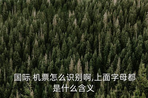 中国国际机票是什么样,国际机票代理IATA是什么