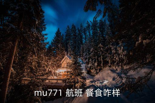 国航的国际航班的餐食,国际航班有餐食吗