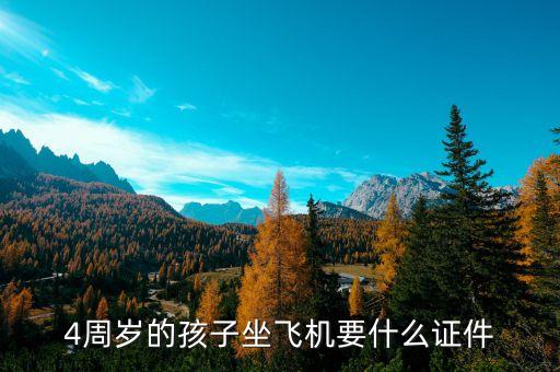 四岁以上儿童单独做国际航班