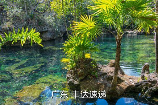 丰达国际大酒店 套房,丹阳锦豪国际大酒店有套房吗