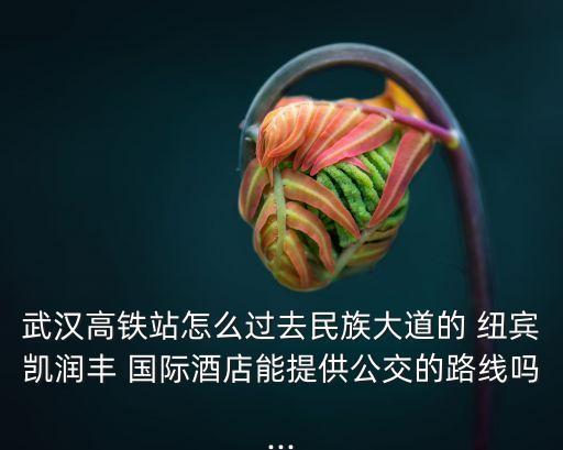 纽宾凯新时代国际公寓,武汉纽宾凯新时代国际酒店